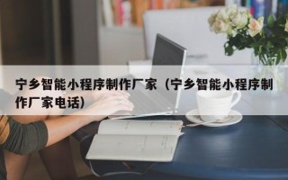 永春宁乡智能小程序制作厂家（宁乡智能小程序制作厂家电话）